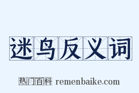 迷鸟反义词是什么意思的图片